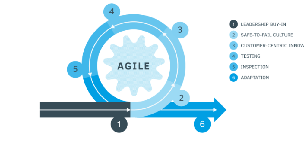 Risk Agile